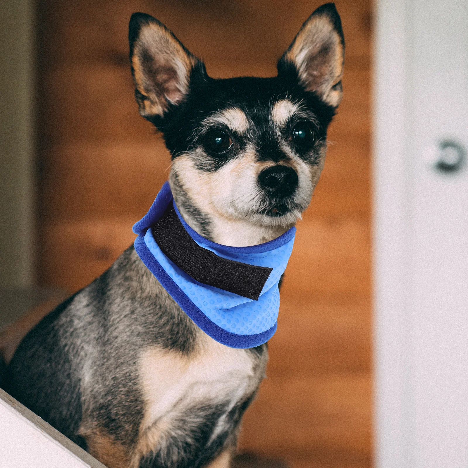 

Pet Cool Scarf Cooling Towel Headband Dog Walking Accessories Collar Puppy Neck Wear Fashionable Comfortable Long Lasting Heat