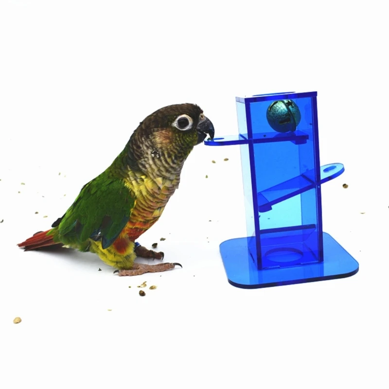 Bird Foraging Toy Transparent Blue Acrylic Box with Gold Metal Improving Intelligence for Parrot Cockatiel Parakeet