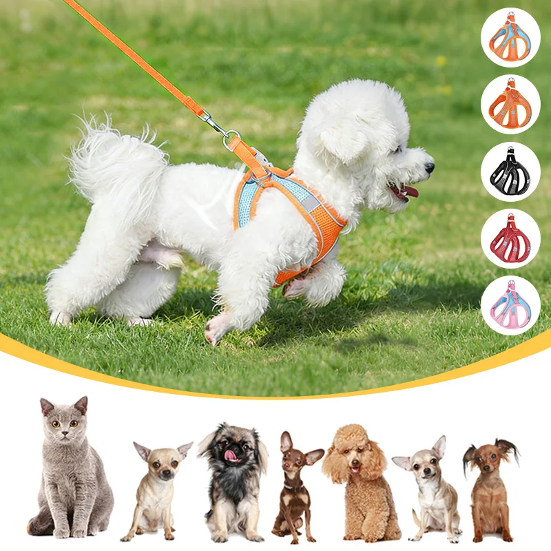 Soft Air Mesh Dog Harness and Leash Set for Small Breeds Cat