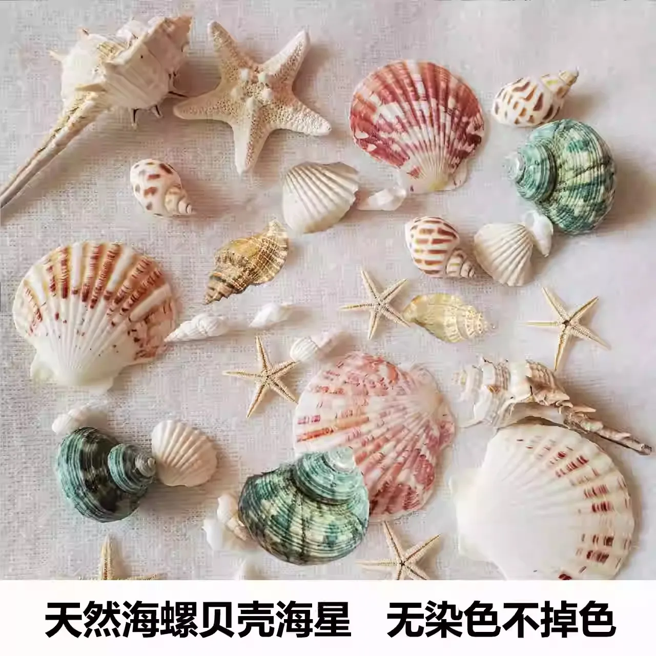 PREMIUM CRAFT SEASHELLS SET WITH STARFISH FOR PARTY DECORATIONS