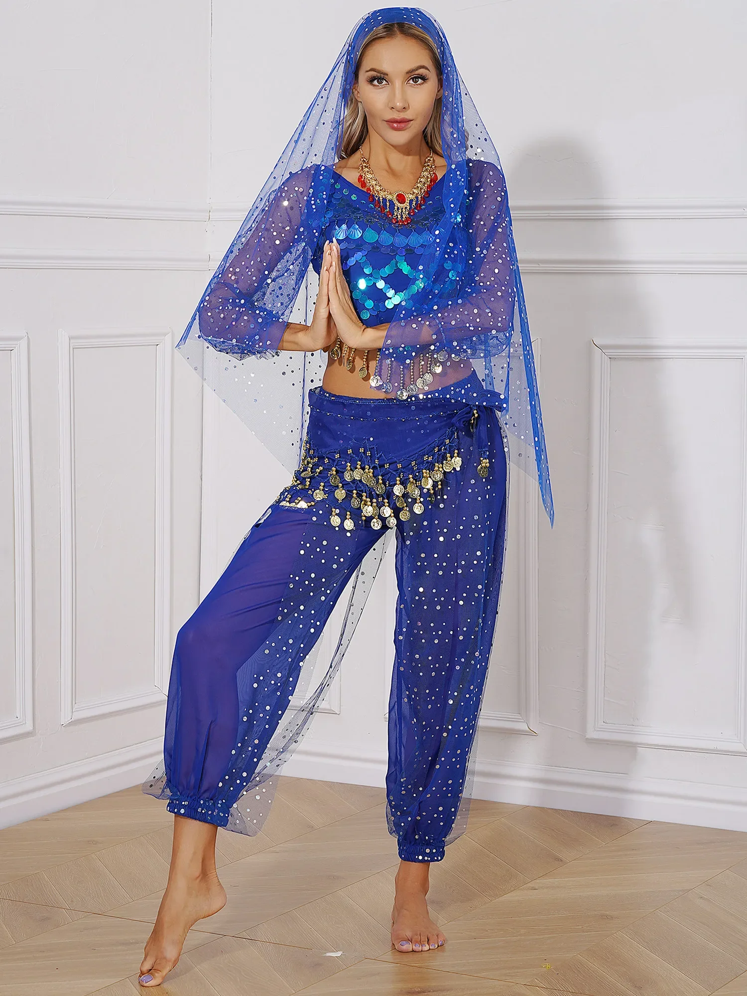 Professional Belly Dancing Costume Women Fancy Theme Party Dress-up Suit Oriental/Indian Dancewear Stage Performance 5-Piece/Set