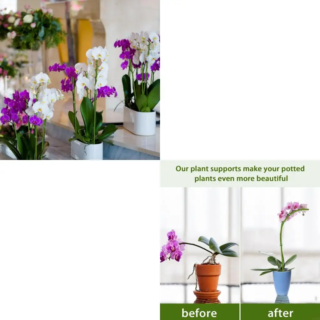 

20pcs Support Flexible Metal And Plastic Design For Indoor And Outdoor Plant Care C5AD