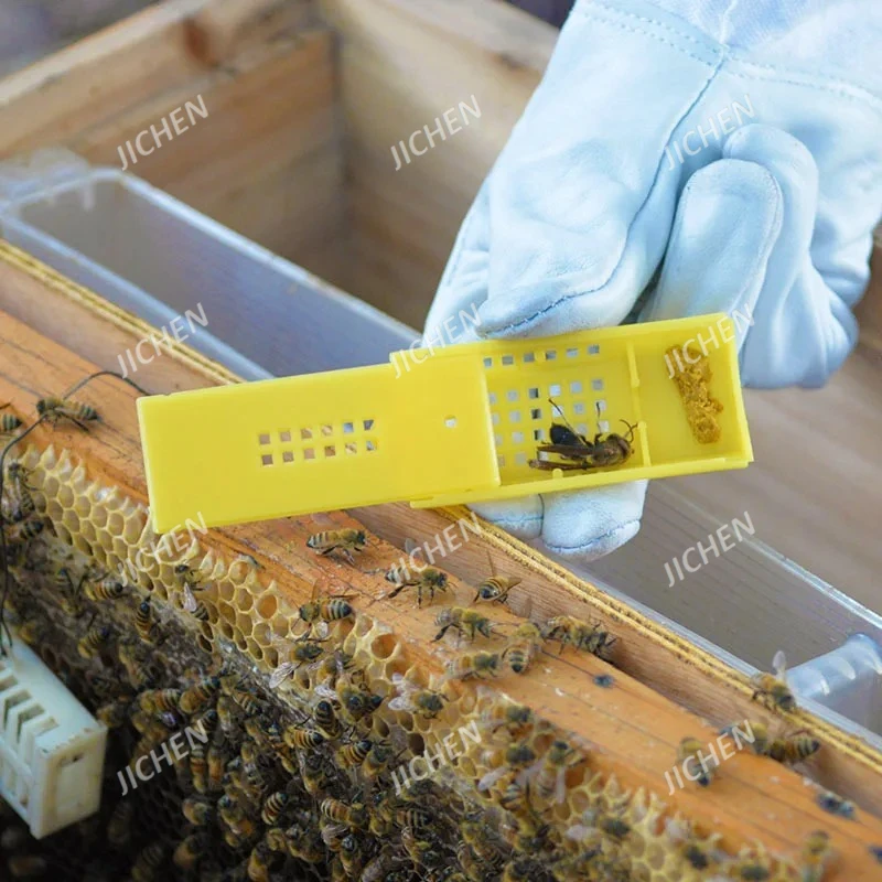 Jc X1000 Yellow Que…