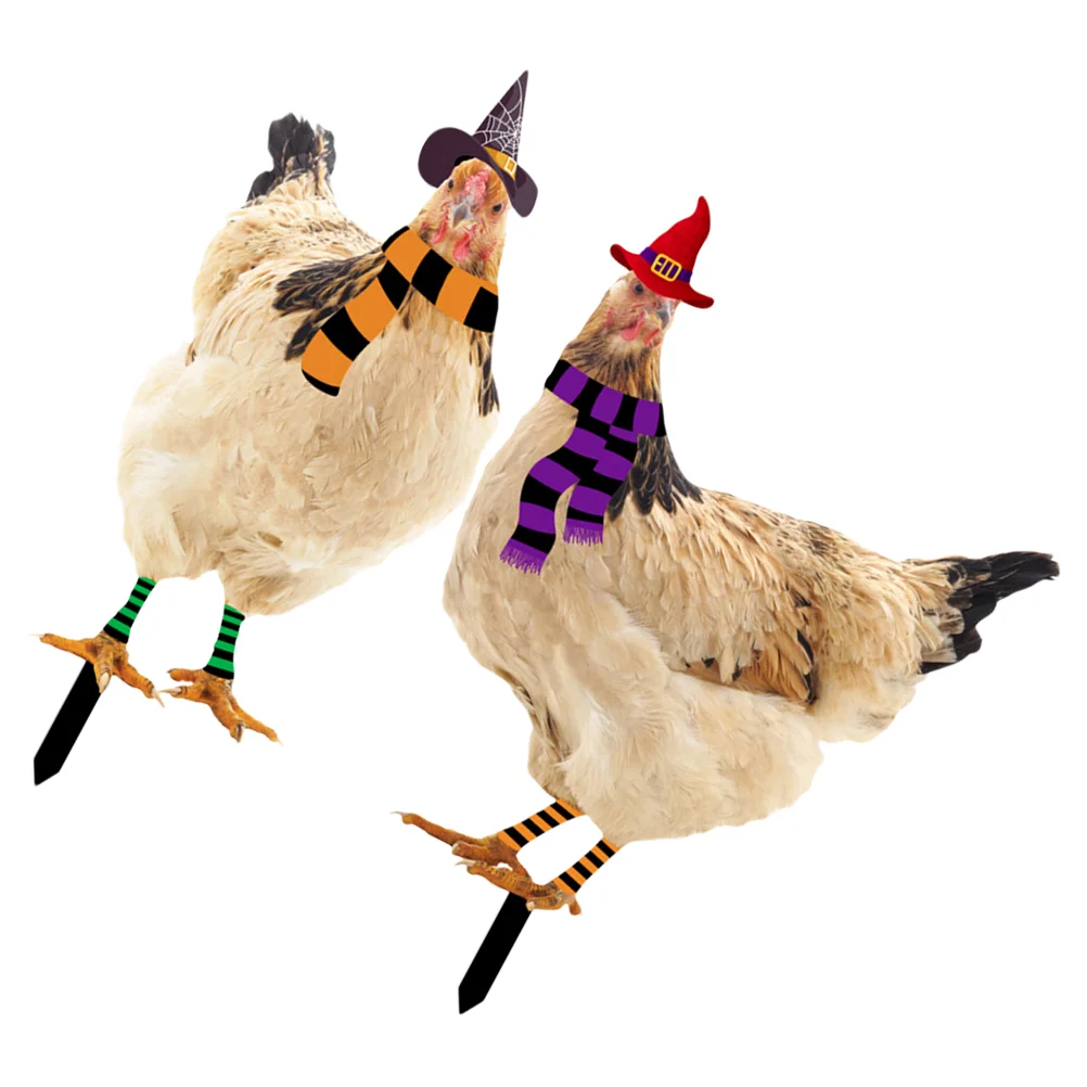 

2 Pcs Halloween Hen Decorations Lawn Decorative Stake Fairy Garden Chicken Stakes Acrylic The Sign