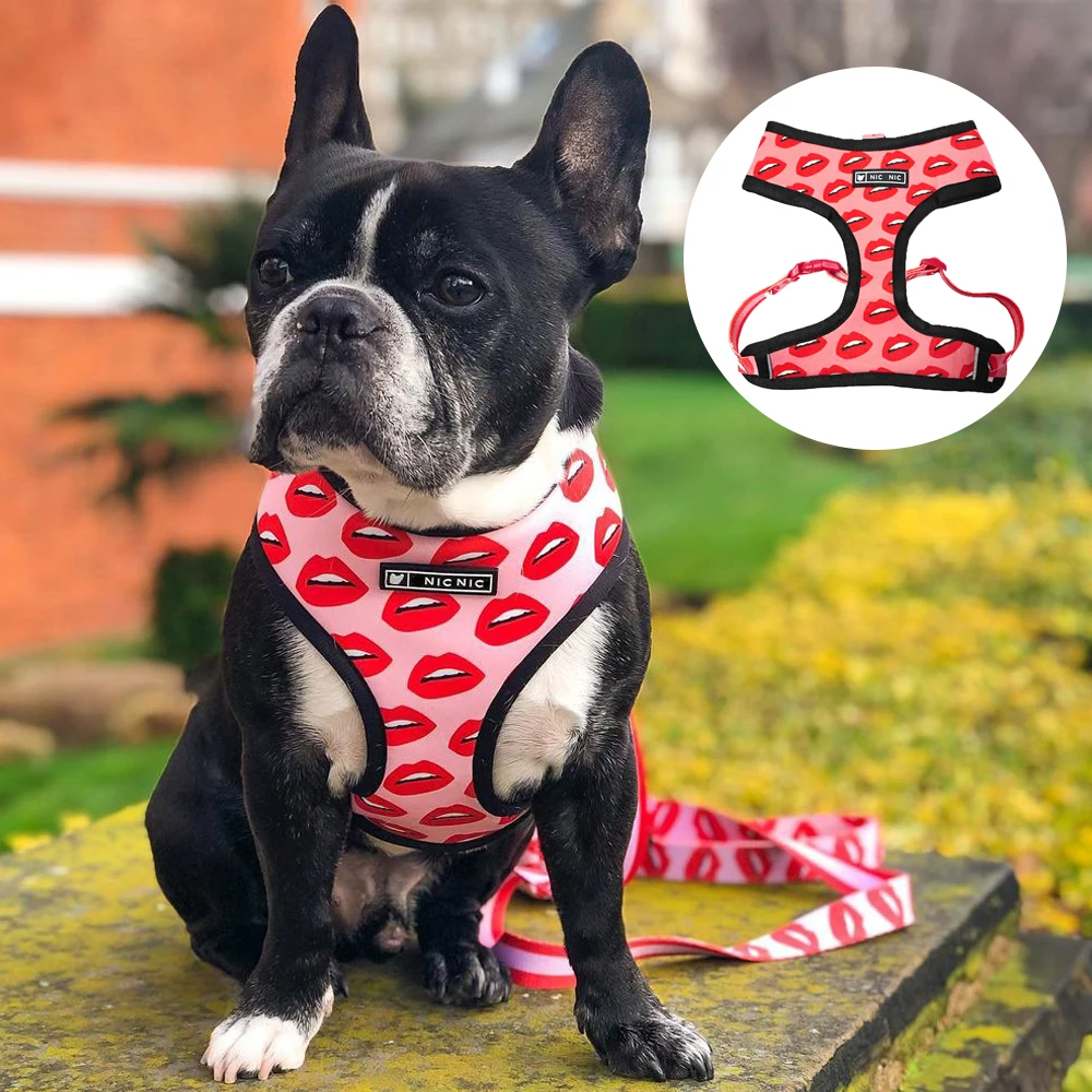 Dog Harness Leash Set Breathable Adjustable Traction Leash with Dog Harness Vest for Small Large Dogs French Bulldog Pug Leash