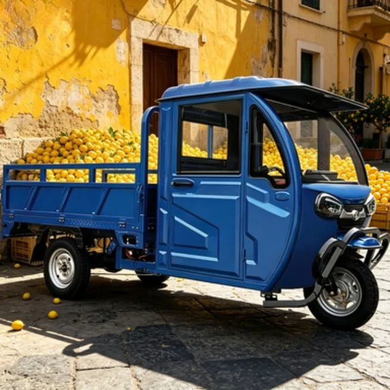 60V 1000W Electric Cargo Tricycle 3 Wheel Open Steel Frame 500kg Payload for Farm Agricultural Transport Sale