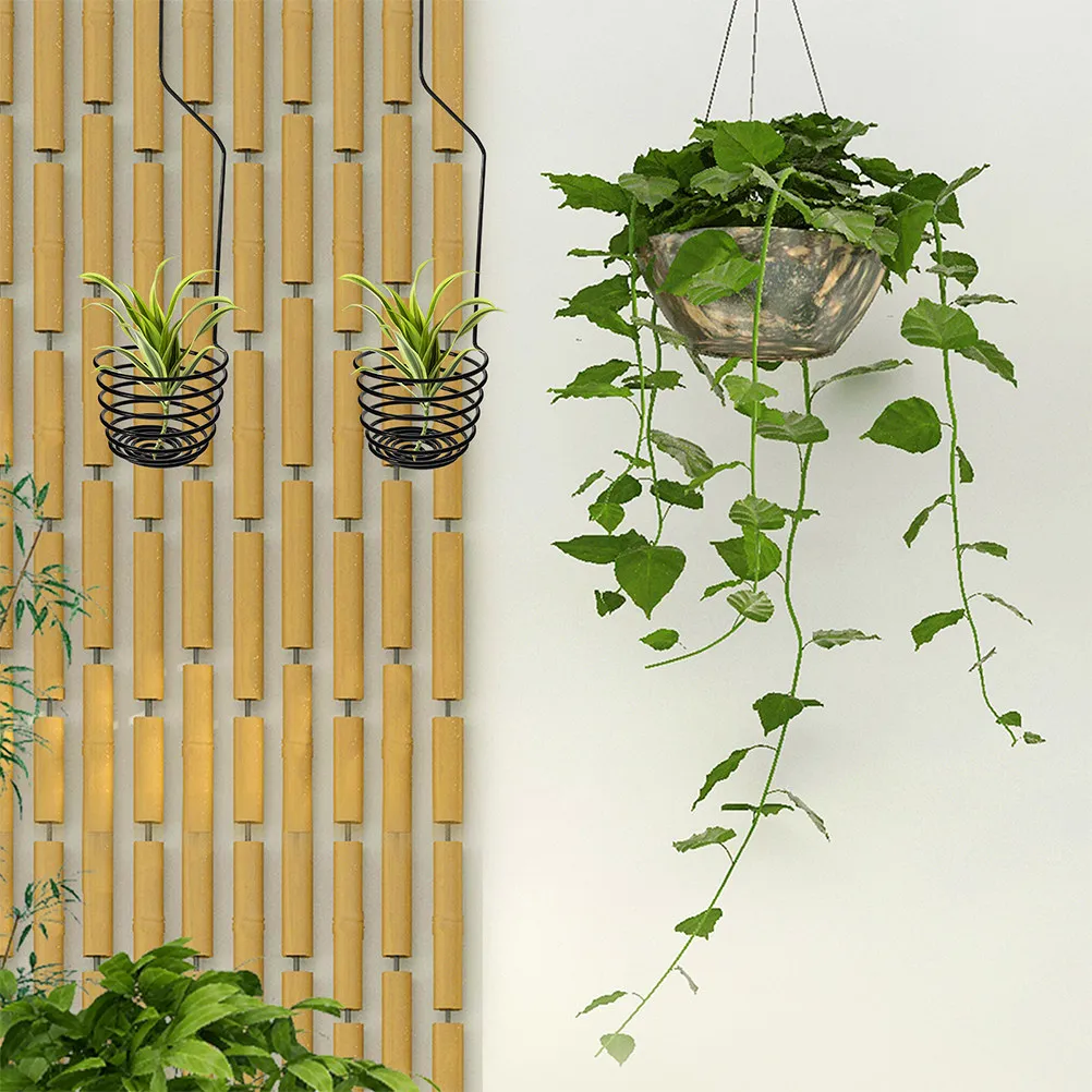 3Pcs Spiral Air Plant Hooks Wall Mount Metal Hanging Plant Holder for Tillandsia Indoor Decor Living Room Bedroom Office Display