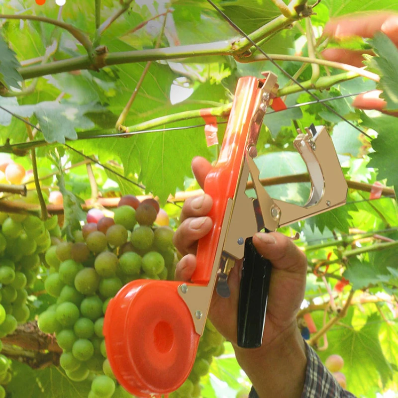 New tomato binding artifact cucumber tape binding machine