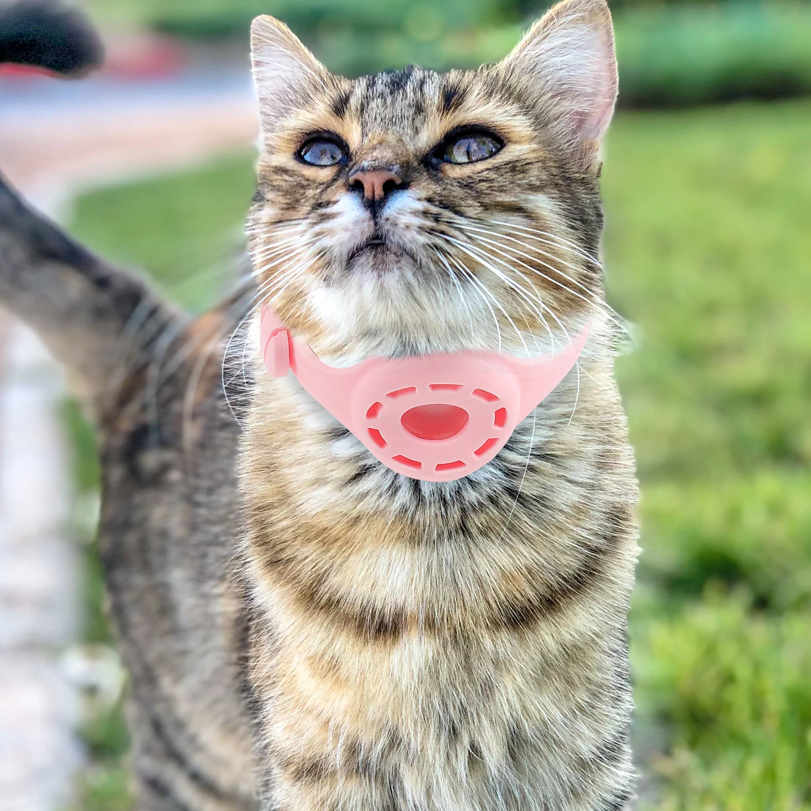 

Pet Collar Protective Cover Silicone Anti-Lost Shell Scratch Resistant Wearproof Easy Install Dog for