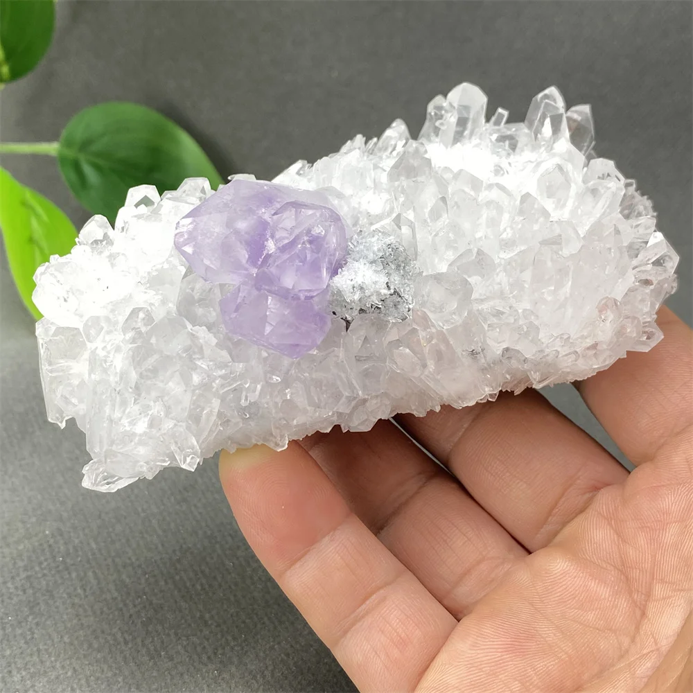 Natural Rare Transparent White Crystal And Amethyst Quartz Symbiosis Angel Halo Mineral Specimen Ornaments Home Decoration