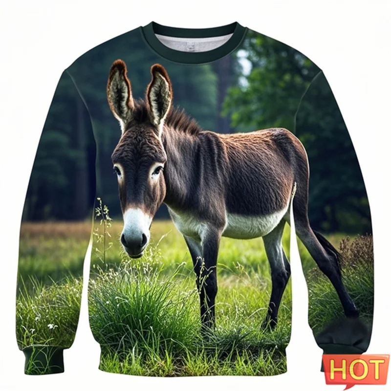 

Donkey Savannah Graphic Sweatshirts 3D Printed Men Pullover Hoodie Outdoor Sportwear Harajuku Fashion Animal Donkey Streetshirt