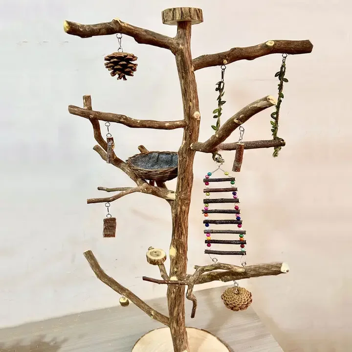 Bird stand stand parrot stand branch landing type