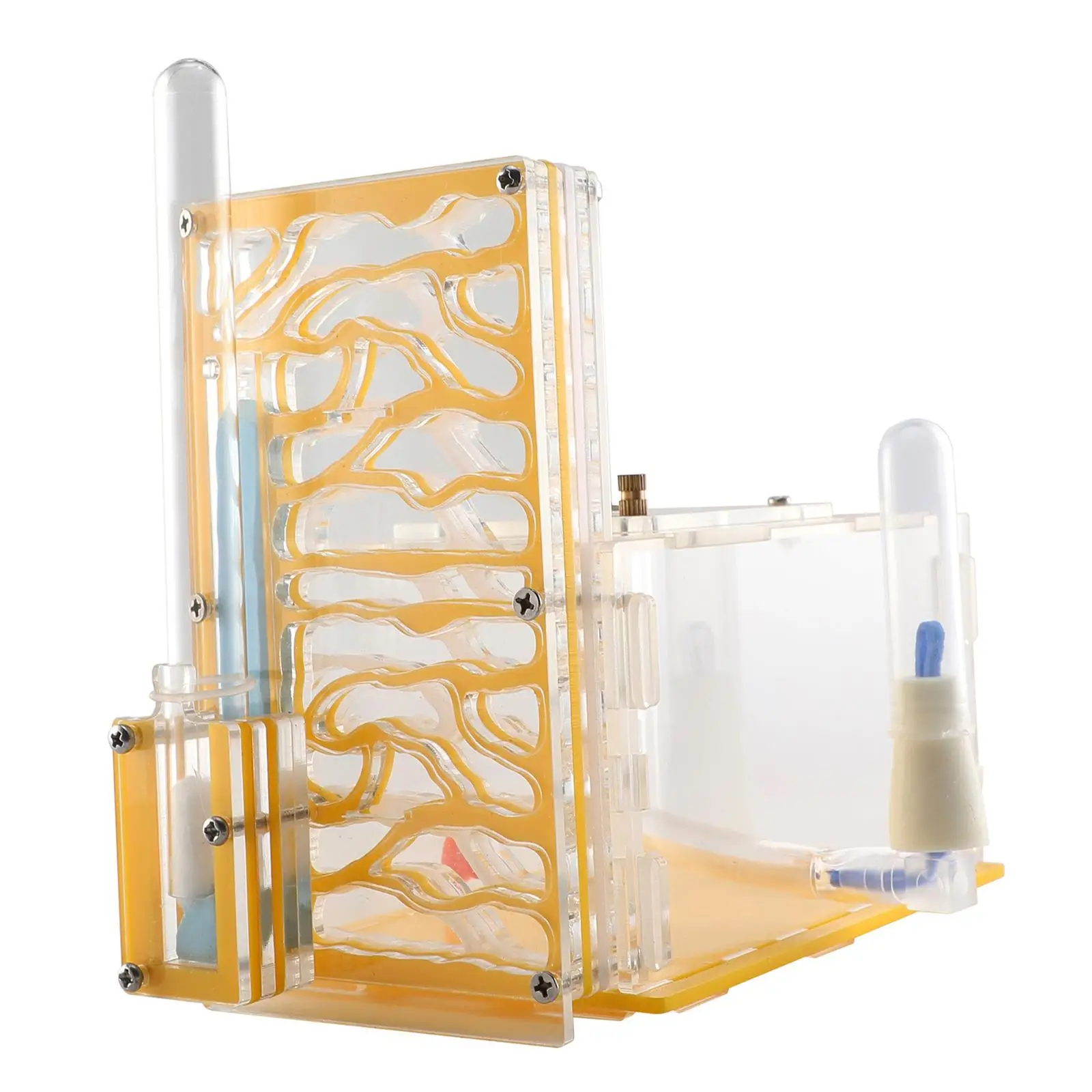 

Прозрачный домик-ферма для муравьев ANT DIY с кормушкой и игрушками, для декора, подарок на День защиты детей, для домашних научных наблюдений