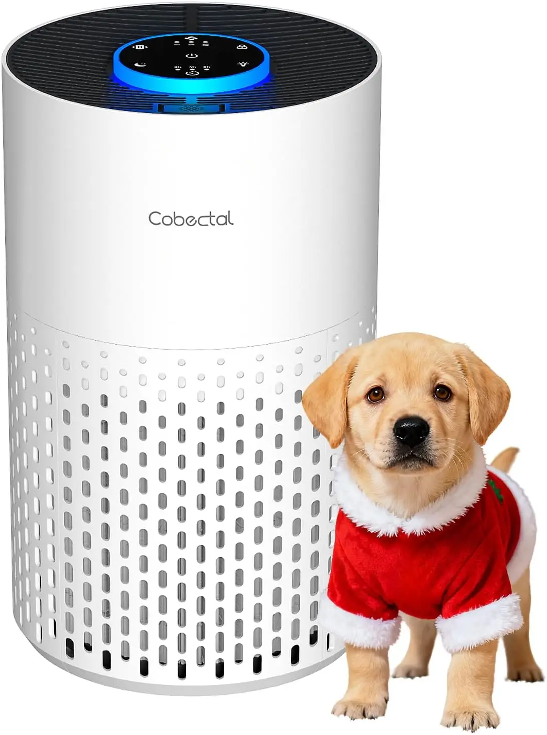 Air Purifiers For B… - image