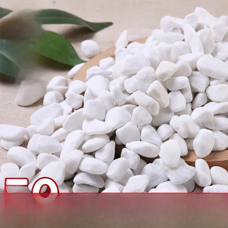 

White Pebbles Stones Large Goose Eggs Courard Path Lang und White Stones Lacape Potted Plants Decorative Stones