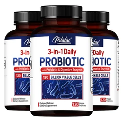 Probiotics + Prebiotics + Digestive Enzymes - Promote Intestinal Flora Digestive Health Women & Men Provide Lasting Energy