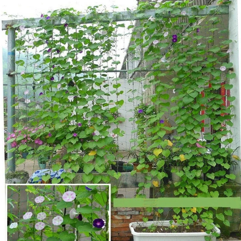 1pc Nylon Garden Plants Climbing Net Trellis Netting Morning Glory Flower Vine Plants Support Net Hydroponics Grow Net Holder