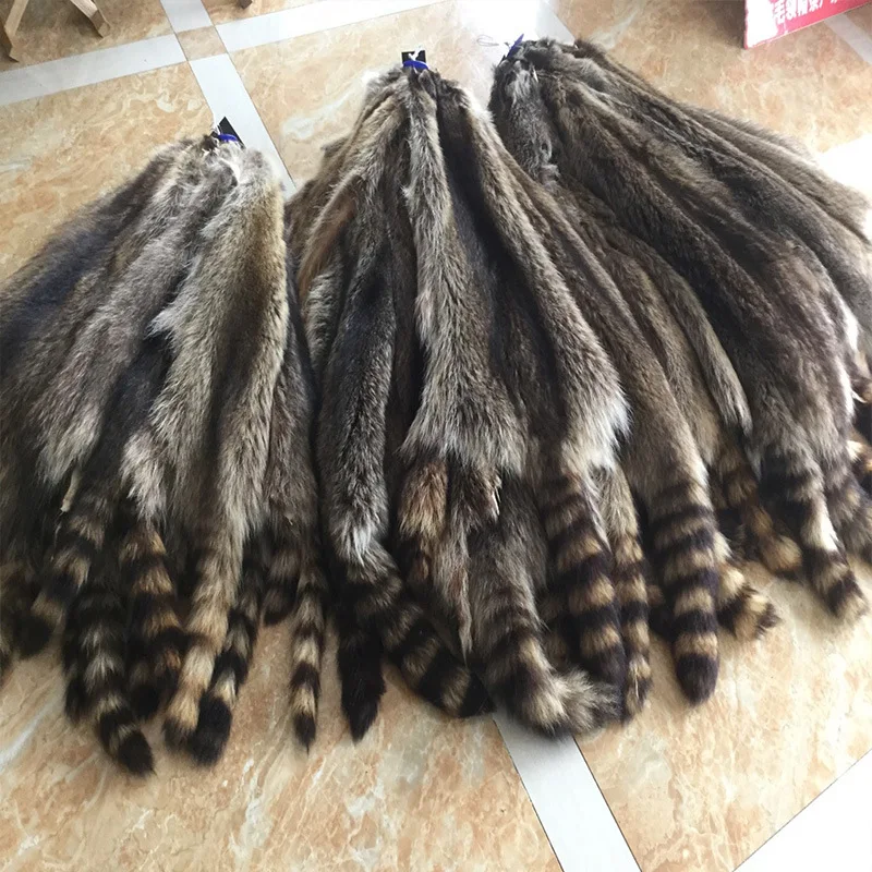 Real Raccoon Hide Natural Tanned Fur Animal Skin Pelt Plush Charm Cosplay Coats Bags Scarf Clothing Accessory (65-70)x(20-40)cm