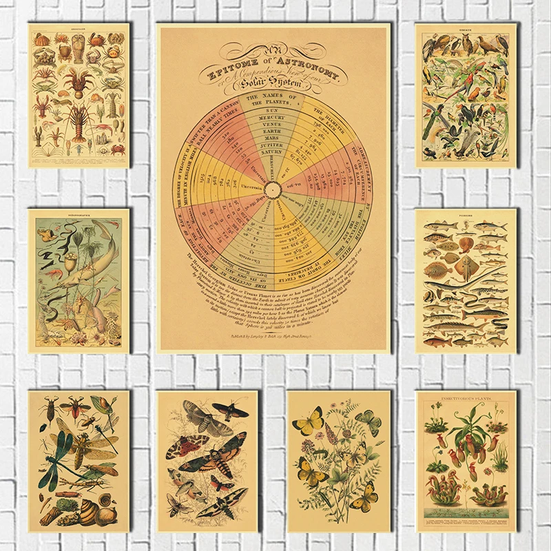 Vintage Classic Wall Art Plants Medicine Flower Insect Butterfly Vegetable lobster Oil Kraft Paper Posters And Prints
