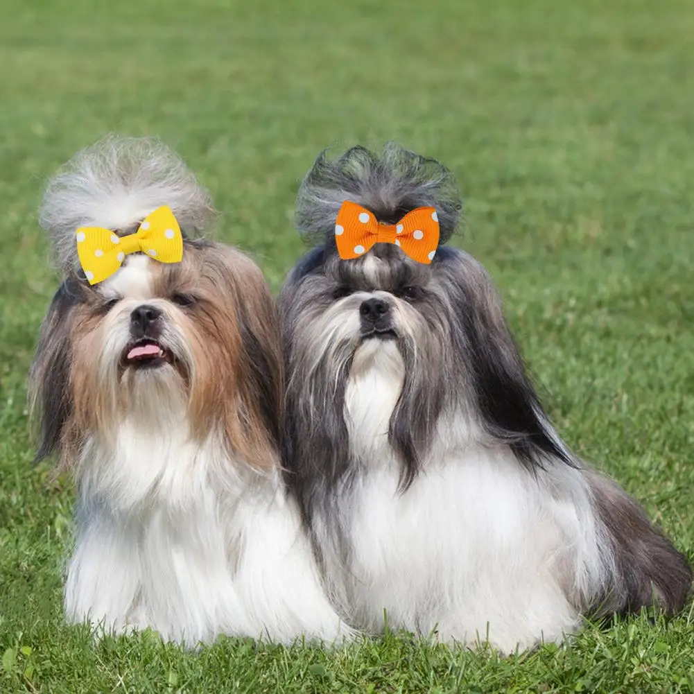 Бантик-из-шерсти-щенка-набор-аксессуаров-для-волос-щенка-набор-бантов-из-шерсти-собаки-ручной-работы-с-резинками-для-маленьких-домашних-животных-вечеринка-Рождество-день-рождения