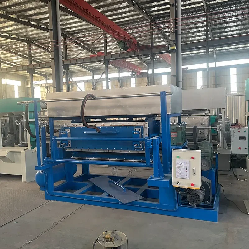 Low Cost Egg Tray Line Machine Paper Recycling Egg Carton Pulp & Metal Dryer Core Components-Pump PLC Motor Gearbox Gear Engine