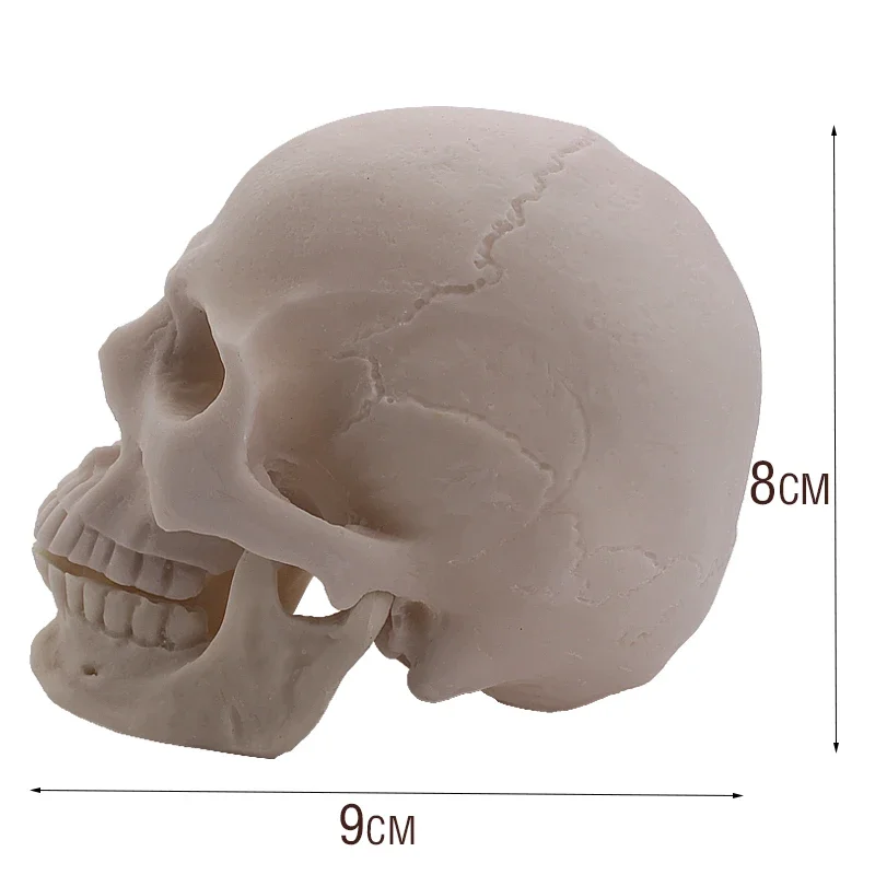 MGT-Resin Skull Model, Halloween Decoration, DIY Handmade Graffiti Model, Creative Sculpture, Motorcycle Craft, 1:2