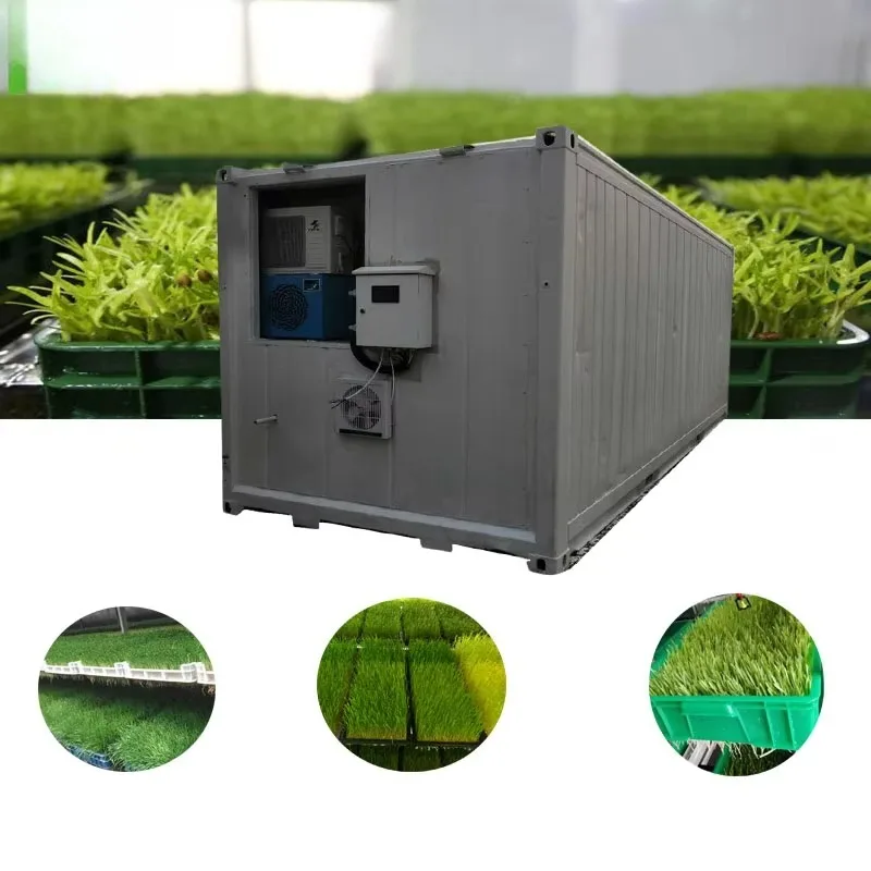 Hot-selling hydroponic feed planter controlled drip irrigation Alfalfa wheatgrass seedlings easy to operate