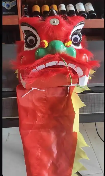14 inch Chinese Lion Dance Costume  5-12 Age Kid Child Performance  Game Party Carnival Sport Festival Event  Stage Carnival