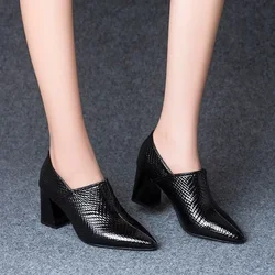 2024 New Pointy Women's Shoes Spring and Autumn Thick Heels with Everything Elegant Temperament Deep Mouth Small Leather Shoes
