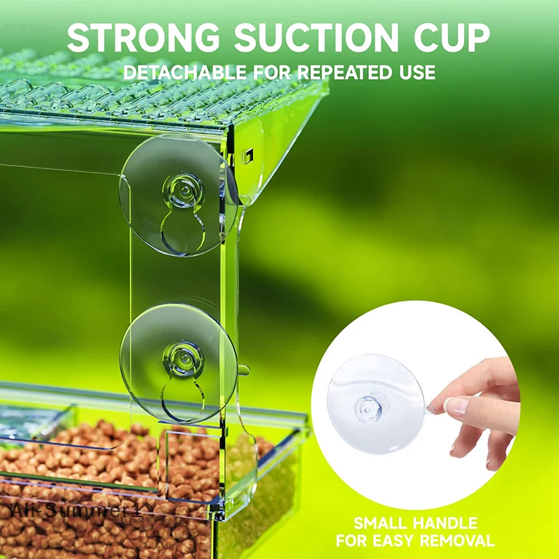 Thumbnail 3 - #8 Bird Baths Comparison Guide