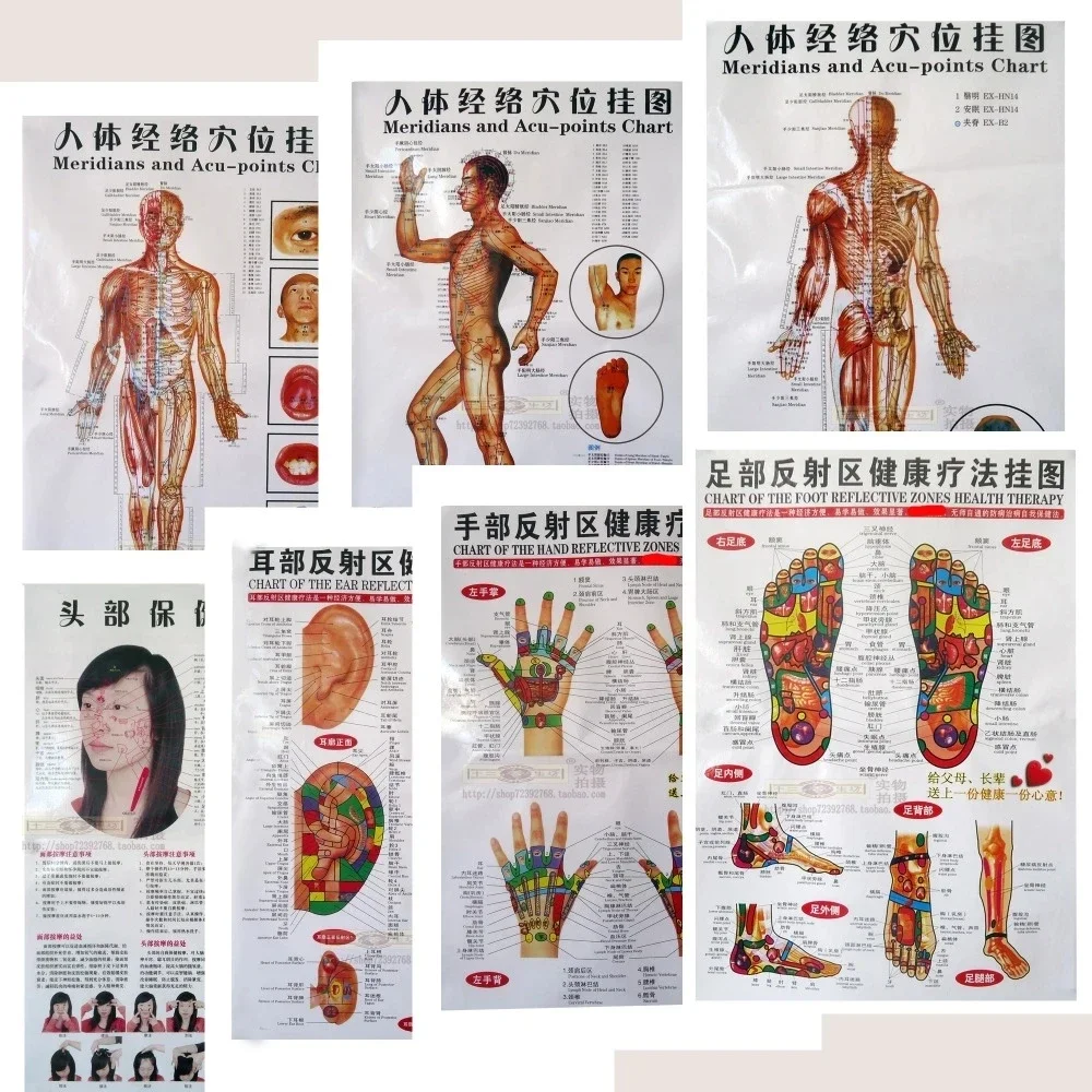 

7pcs/set Acupuncture Massage Point Map Chinese&English Meridian Acupressure Points Posters Chart Wall Map for Medical Teaching