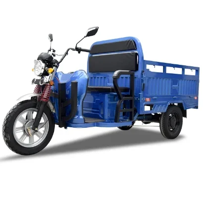 Cheap e-Trikes 3 wheel Cargo Electric Tricycles Motorcycle Three Wheel Adult