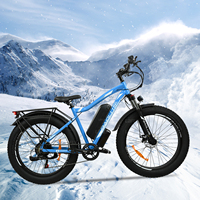 BAOLUJIE DP-2619 Electric Bicycle 750W48V13AH 26*4inch Fat Tire Display LED Ebike Mountain Off-road Beach Electric Bike