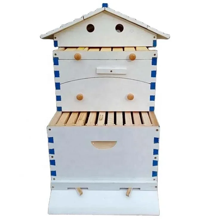 Beekeeping box outflow bee hive house automatic honey self-flowing wooden beehive set with 7 plastic frame