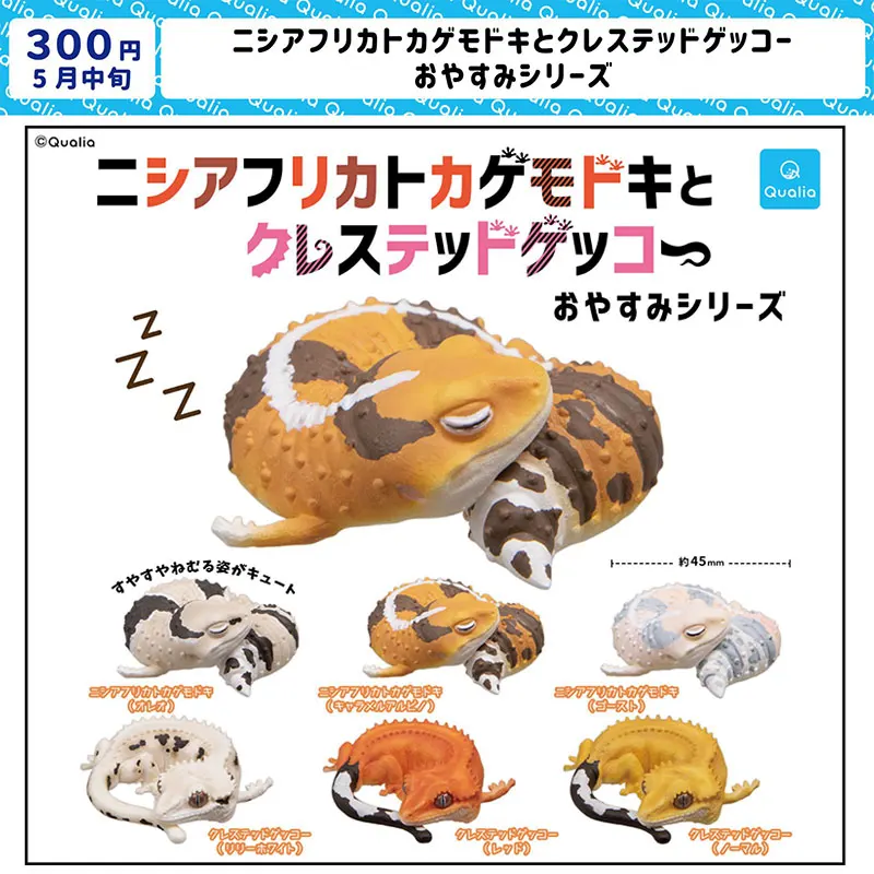 Echtes Gacha-Skala-Modell, der Wächter des Schlafs, schlafende Reptilien-Eidechsen, dekoratives Produkt, Action-Figur, Spielzeug