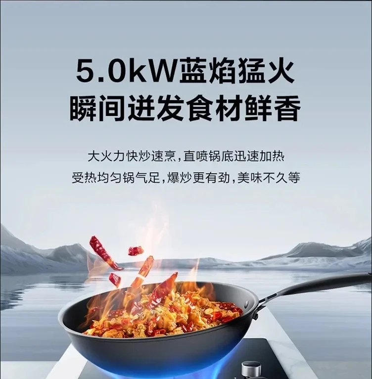 SUPOR ガスストーブ ダブルバーナー 天然ガス LPG AB 用家庭用キッチンストーブ内蔵