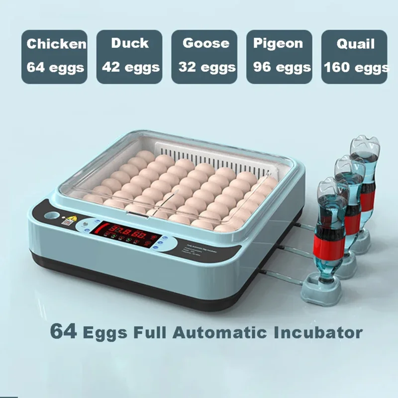 

64 Bird Incubator Eggs Machine For Hatching Chicken Duck Quail Automatic Intelligent Farm Supplies