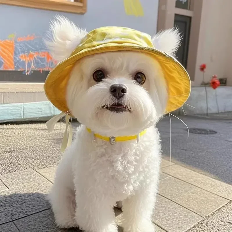 

Bichon Frise Sun Shade Fisherman Hat Pure Color Dog Hat Cute Open Ears Cat Summer Sun Hat Sun Hat Adjustable
