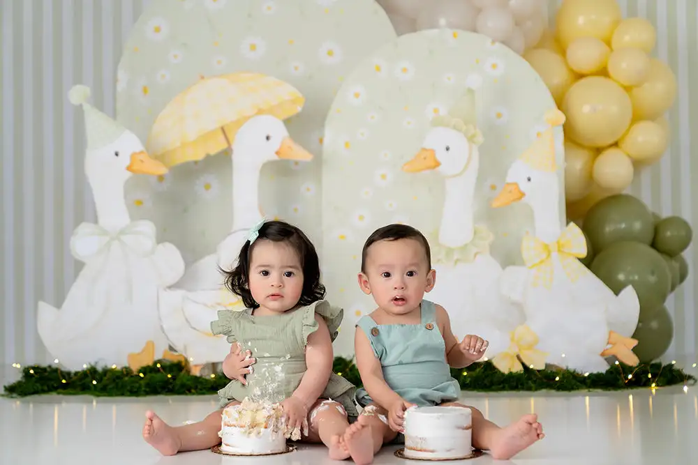 Silly Goose Garden Party Photography Backdrop Kids Baby Cake Smash Photocall Decor Child Adult Birthday Studio Backgrounds