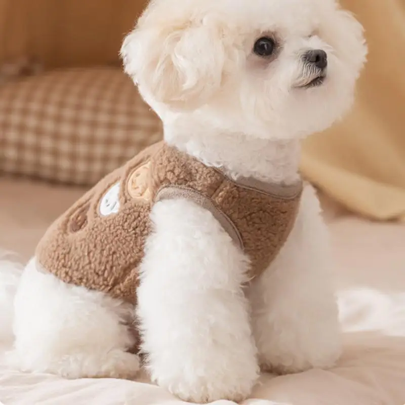 Thumbnail 4 - #75 Pet Winter Clothing Comparison Guide