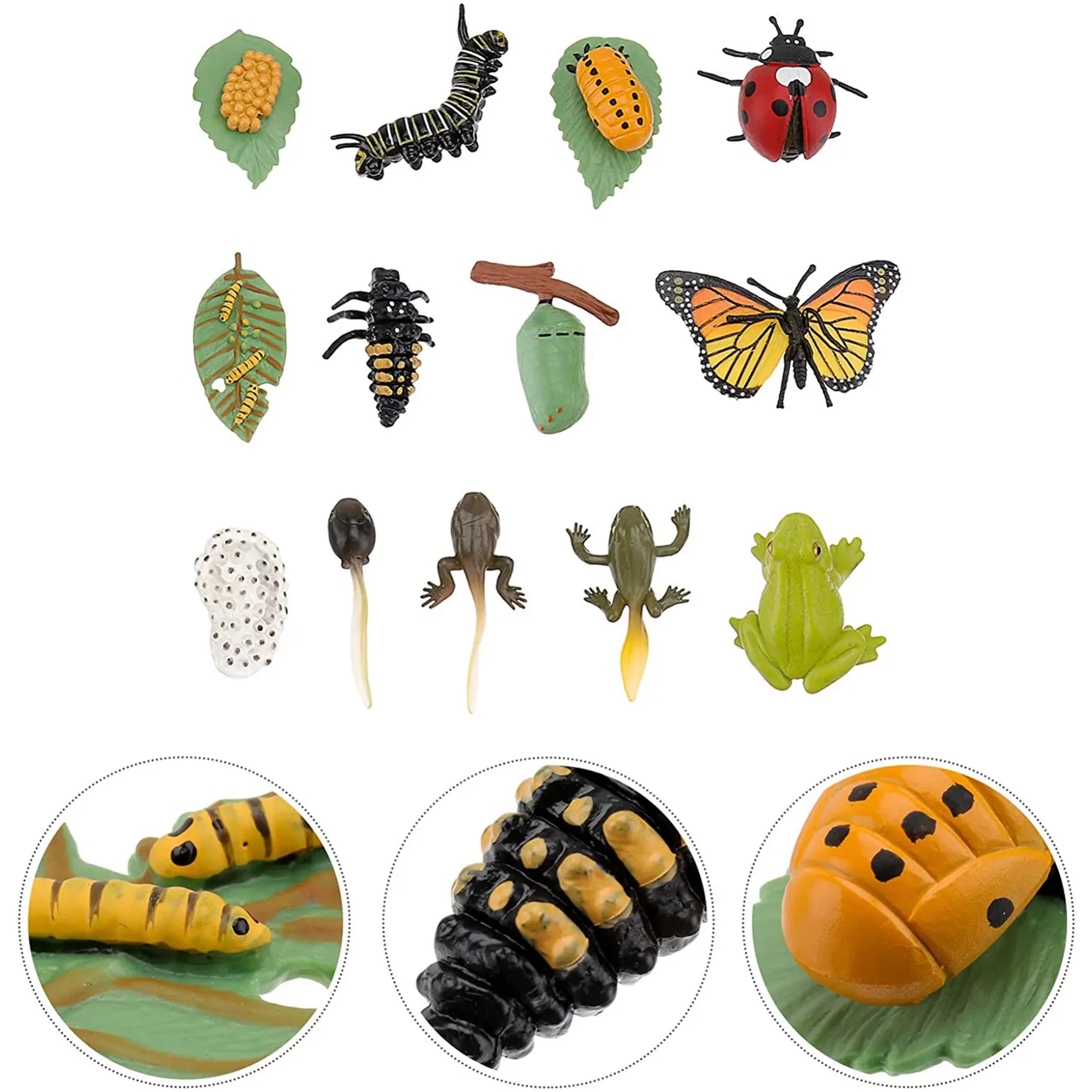 3 Sets Insect Figurines Life Cycle of Butterfly Ladybug Safariology Growth Cycle Model Education Toy