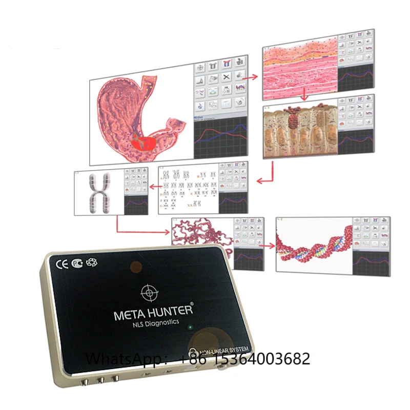 

Original Portuguese,Italy Software Metatron Hunter and Meta Hunter Nls Body Health Analyzer