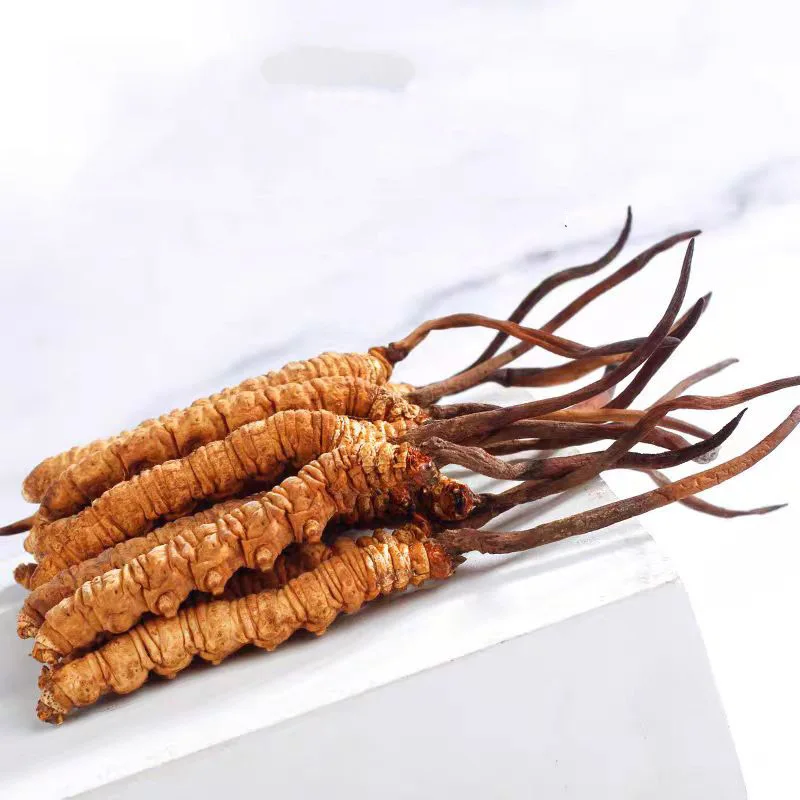 Imagem -04 - Dongchongxiacao Cordyceps Sinensis Multi-purpose Faça Você Mesmo Artesanato Sabão Fragrância Home Perfume Produção Alta Qualidade