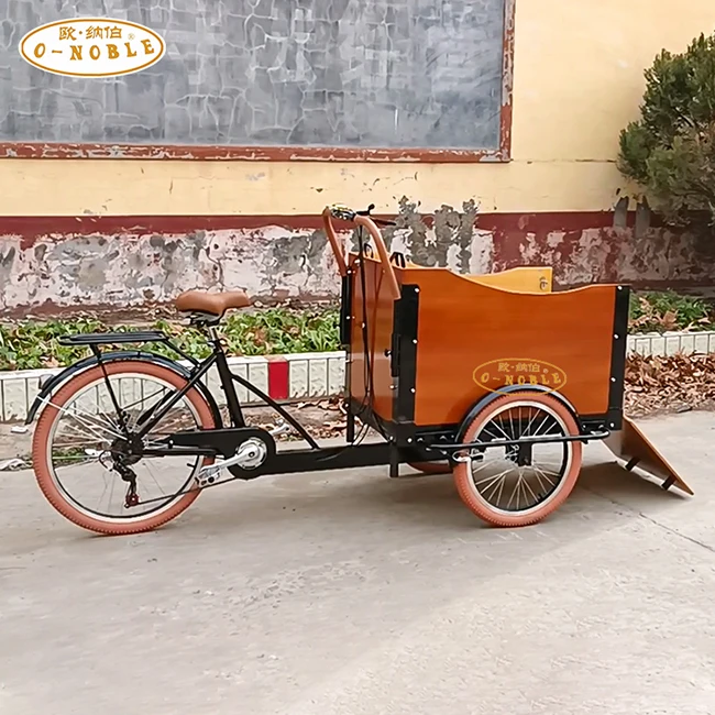 Cargo Bike China Family 3 Wheel Electric Cargo Bike 350W Motor