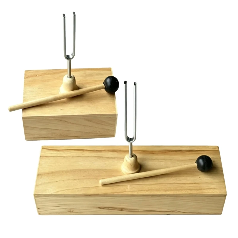 Acoustics Teaching Tuning Fork Set with 256Hz and 512Hz Assemblies for Sound Transmission, Comparison, and Frequency X3UB