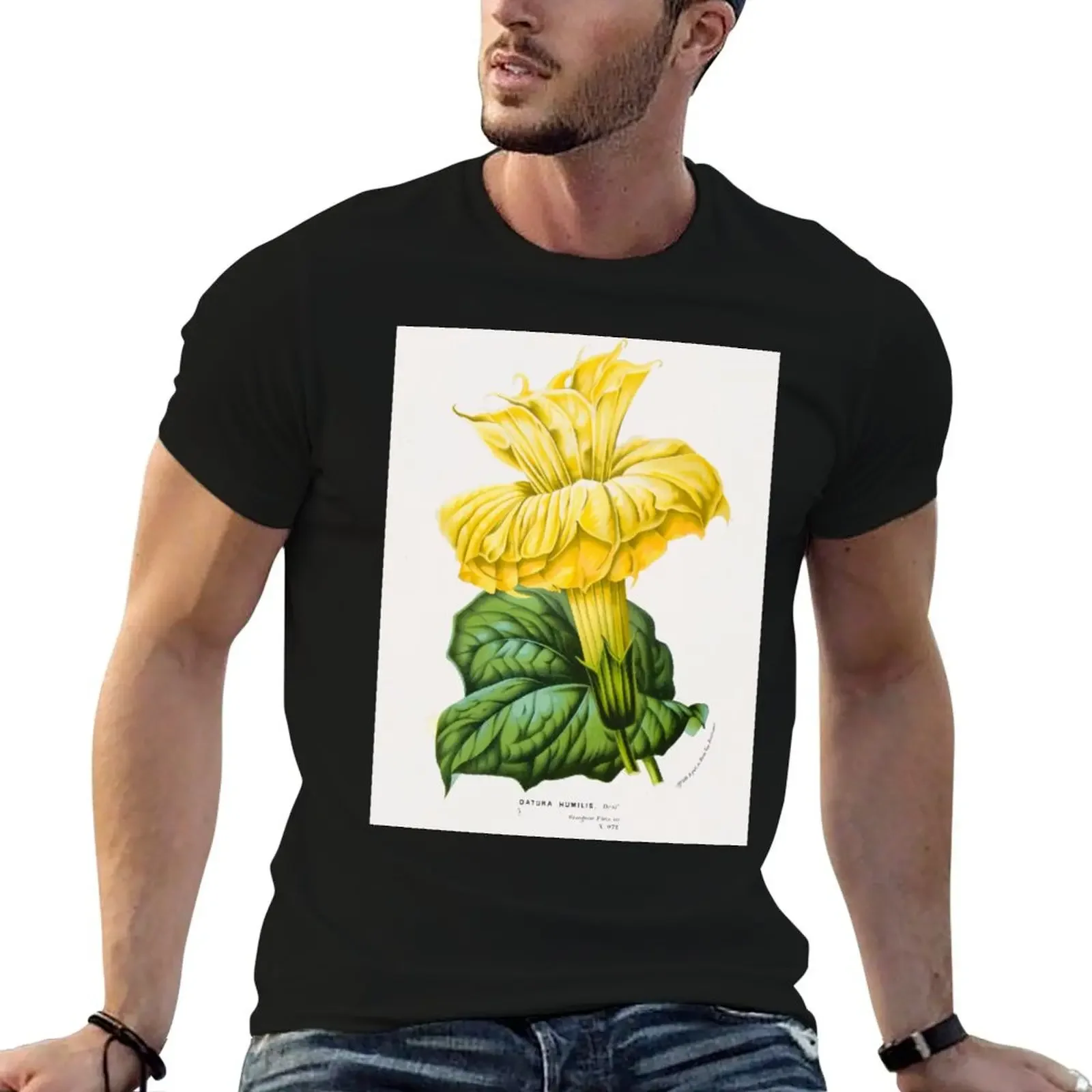 Datura metel Botanical Illustration T-Shirt Blouse anime shirt sweat men t shirt