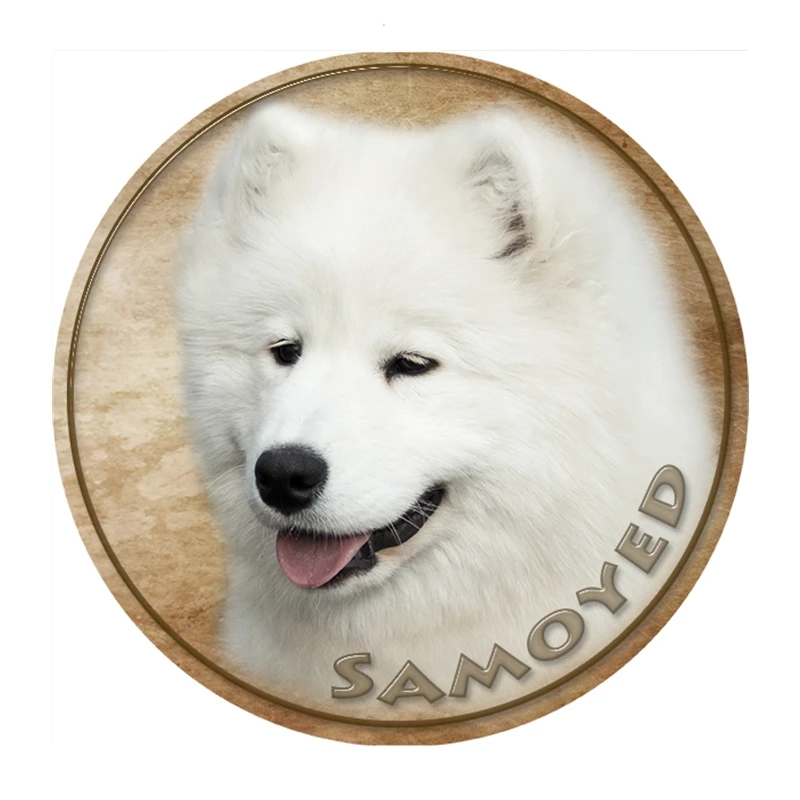 Ciudad pequeña S40431 # Autocollants Samoyed Chien Voiture En PVC, diferentes tallas, Autoocollant Pour pare-chocs ventana arrière,