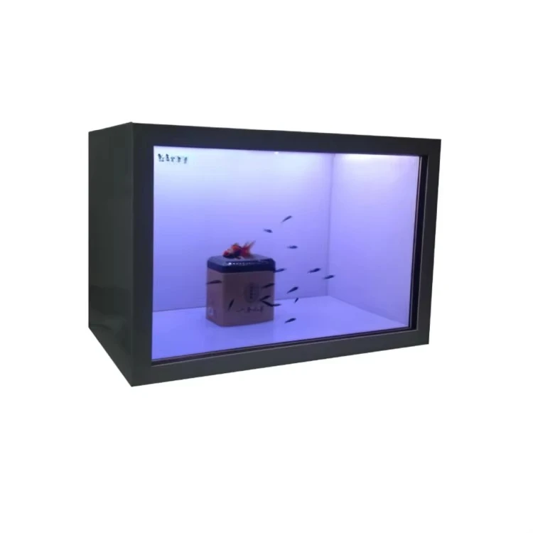 Holographic devices for interactive touch transparent LCD display in retail stores and elevators