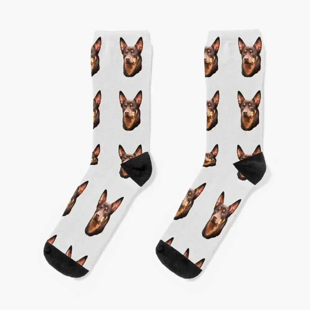 

Kelpie - Australian Kelpie Socks colored cycling hiphop set Boy Socks Women's