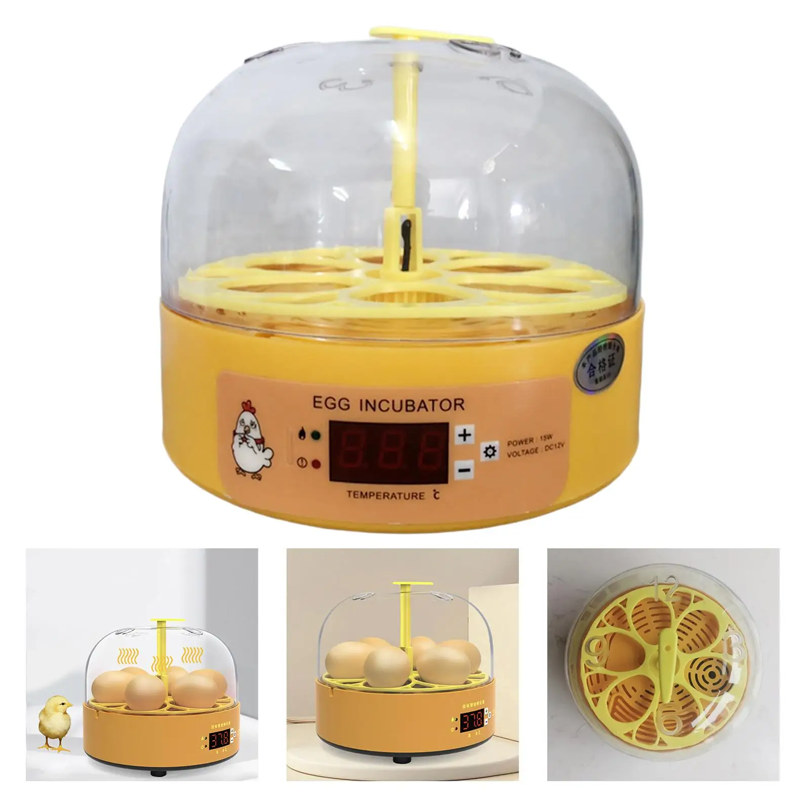 Mini Eggs Incubator Automatic Egg Turner Egg Incubator Breeder for Chicken Birds